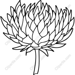 Artichoke Flower