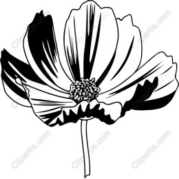 Elegant Black-and-White Flower