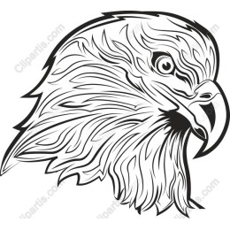 Eagle Head - Intricate Line Art