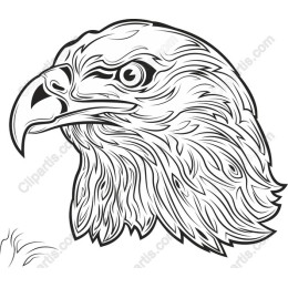 Eagle Head