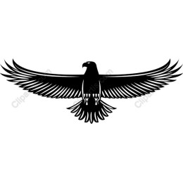 Majestic Soaring Eagle