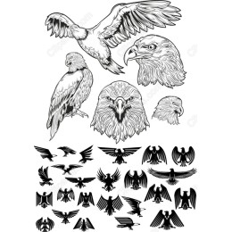Eagle Bundle - Majestic Bird