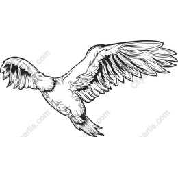 Majestic Eagle
