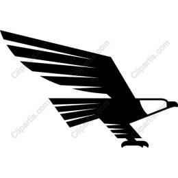  Eagle - Scalable Black