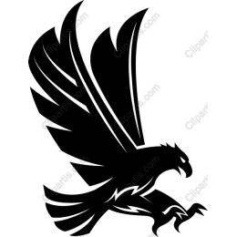 Soaring Hawk