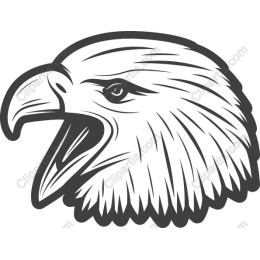 Majestic Eagle Head