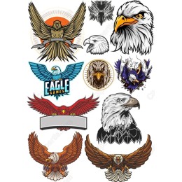 Eagle Collection