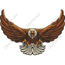 Majestic Eagle
