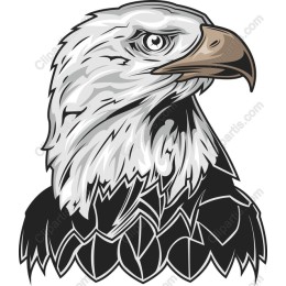 Majestic Bald Eagle