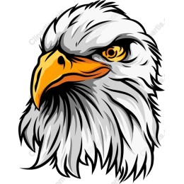 Majestic Eagle Head