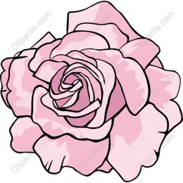 Pink Blossom