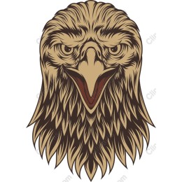 Fierce Eagle Head