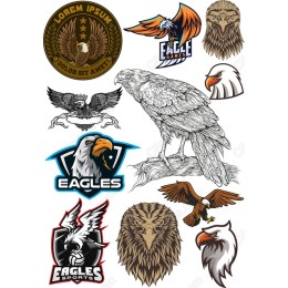 Eagle Bundle
