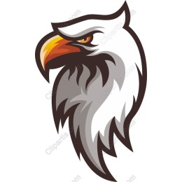 Majestic Eagle Head