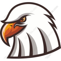 Majestic Eagle Head