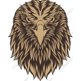 Majestic Eagle Head