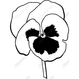 Elegant Black Outline Flower
