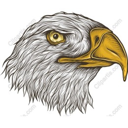Majestic Eagle Head