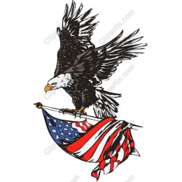 Bald Eagle with American Flag