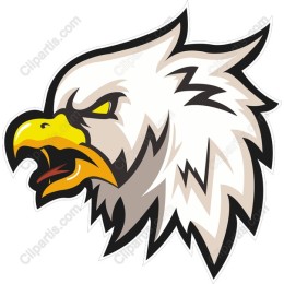 Fierce Eagle Head