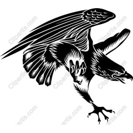 Majestic Eagle in Flight