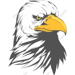 Majestic Eagle
