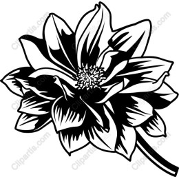 Lotus Flower