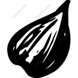 Fig