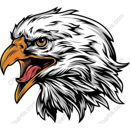 Majestic Eagle Head