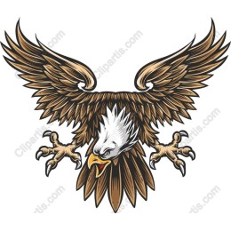 Fierce Eagle