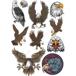 Eagle Bundle - Majestic s