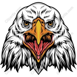 Majestic Eagle Head