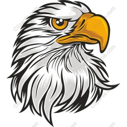 Fierce Eagle Head