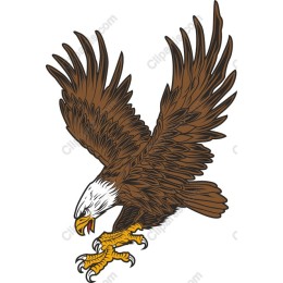 Majestic Eagle