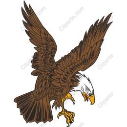 Majestic Eagle
