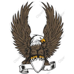 Majestic Eagle