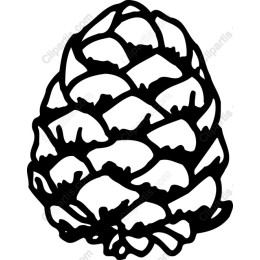 Pine Cones