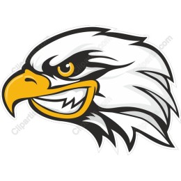 Fierce Eagle Head
