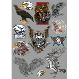 Majestic Eagle Bundle