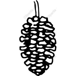 Pine Cone