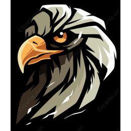 Fierce Eagle