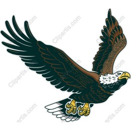 Majestic Eagle