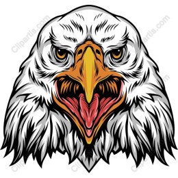 Fierce Bald Eagle work