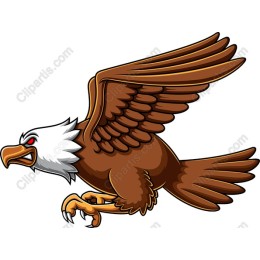 Fierce Eagle