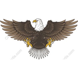 Majestic Bald Eagle