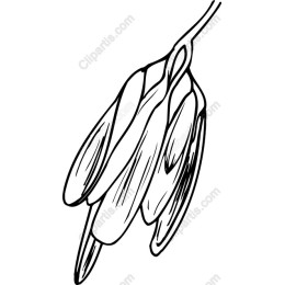 Delicate Floral - Hand-Drawn Style