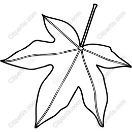 Elegant Leaf