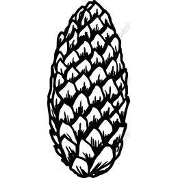 Hand-Drawn Pinecone