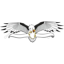 Bold Eagle with Shield