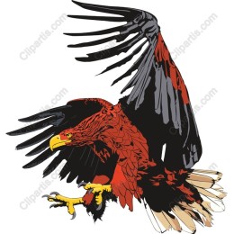 Majestic Eagle